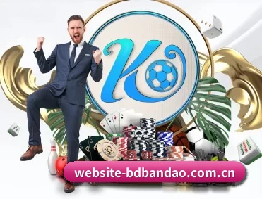 website-bdbandao.com.cn APP 深度功能